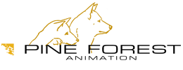 Beijing Pine Forest Animation Company